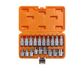 Набор головок 1/2'' DR TORX E10-E24 и головок со вставками TORX T20-T70 длиной 55мм 19 предметов в кейсе (AT-BS-33)