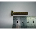 Болт М6*1*30 крышки регул.давления КАМАЗ (уп. 10 шт) (БелЗАН) 00000-0870001-299 (кл.пр. 8,8)