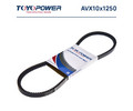 Ремень зубчатый TOYOPOWER AVX10x1250 Lp